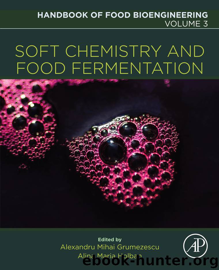 Soft Chemistry and Food Fermentation by Alexandru Mihai Grumezescu Alina Maria Holban & Alina Maria Holban