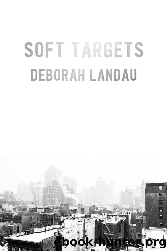 Soft Targets by Deborah Landau