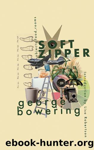 Soft Zipper by George Bowering