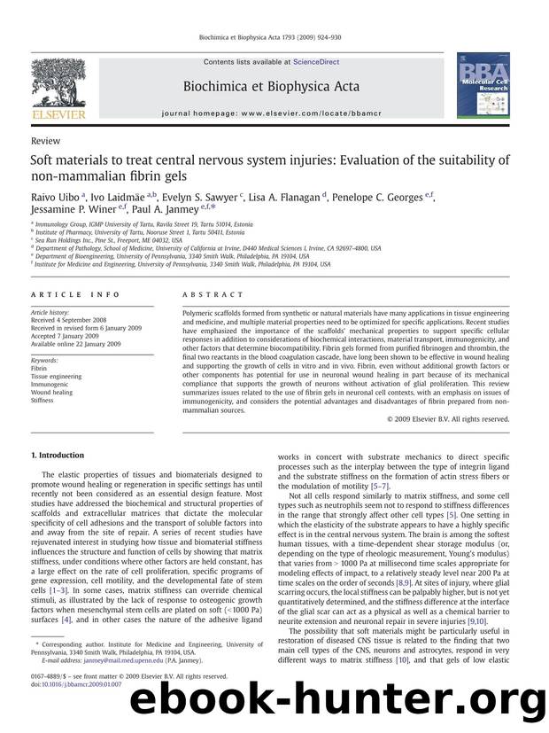 Soft materials to treat central nervous system injuries: Evaluation of the suitability of non-mammalian fibrin gels by unknow
