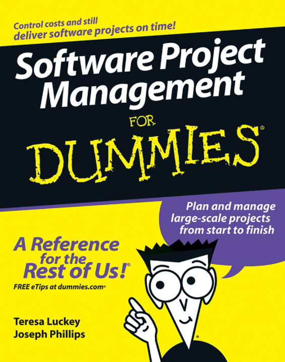 Software Project Management For Dummies (For Dummies (Computer/Tech))