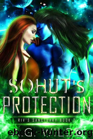 Sohut's Protection: A Sci-fi Alien Romance (Riv's Sanctuary Book 2) by A.G. Wilde