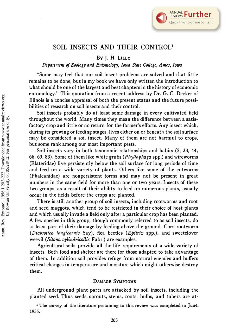 Soil Insects and their Control by J H Lilly