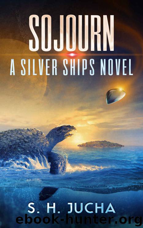 Sojourn by S H Jucha
