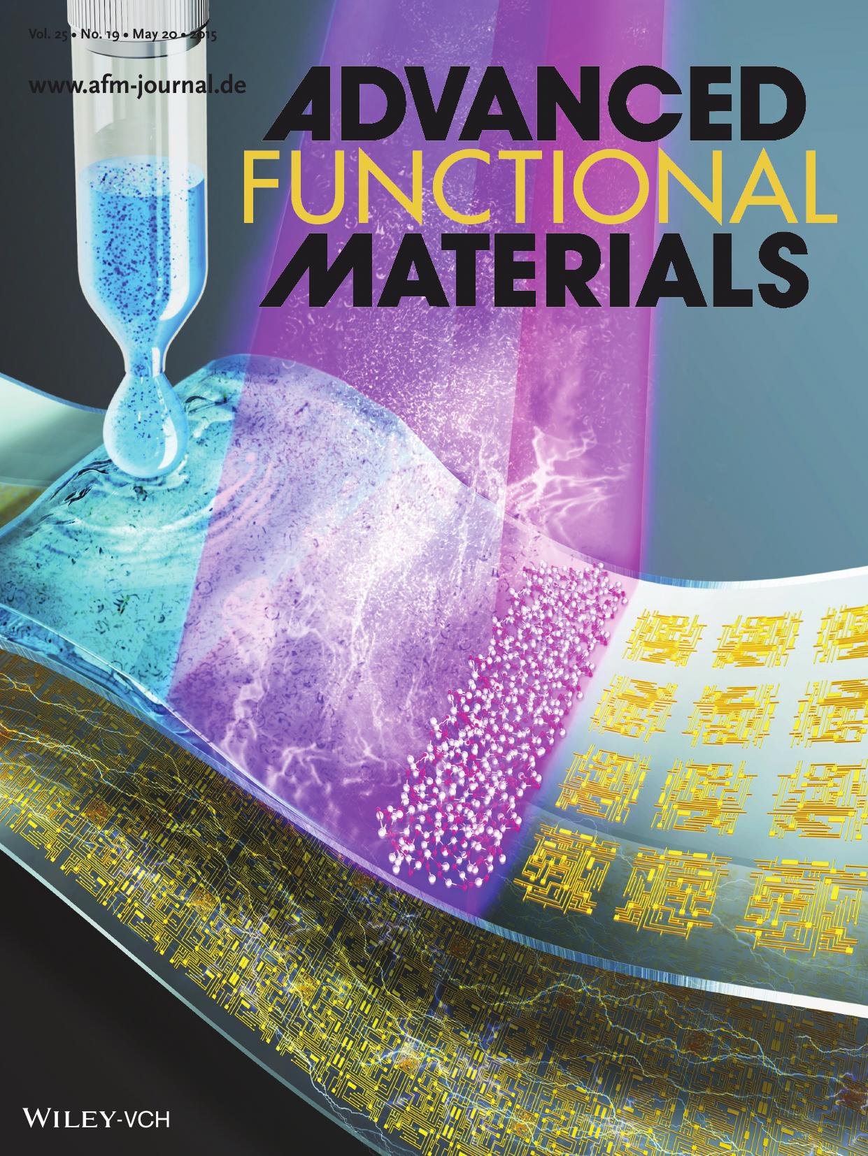 Sol&#x02010;Gel Metal Oxides: In&#x02010;Depth Studies on Rapid Photochemical Activation of Various Sol&#x02013;Gel Metal Oxide Films for Flexible Transparent Electronics (Adv. Fun by Unknown
