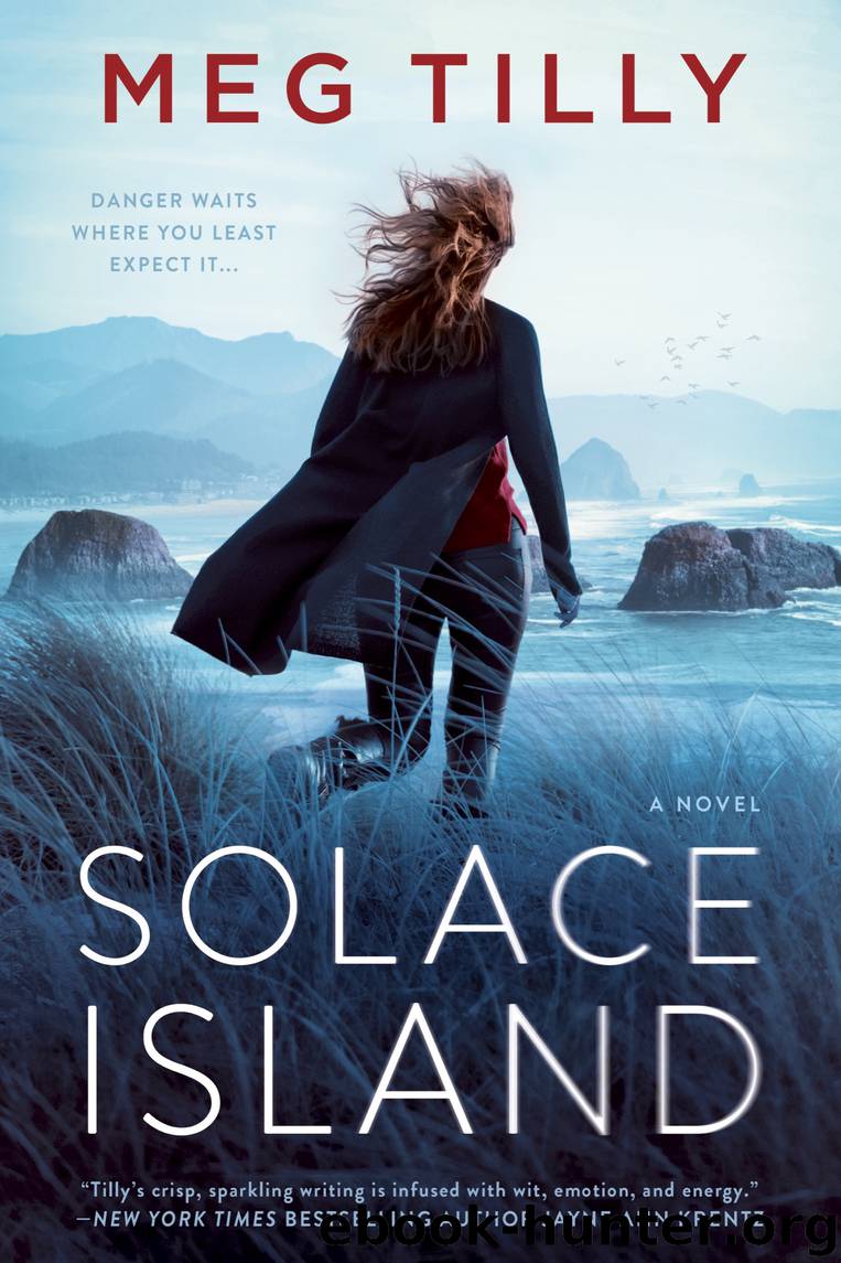 Solace Island by Meg Tilly
