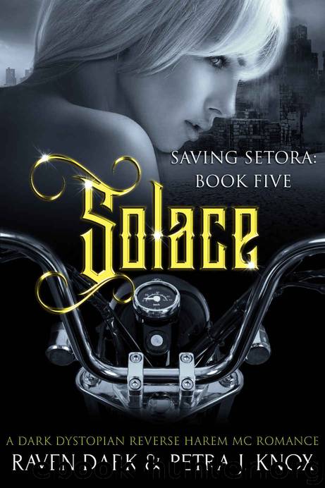 Solace: Saving Setora Book 5 by Dark Raven & J. Knox Petra