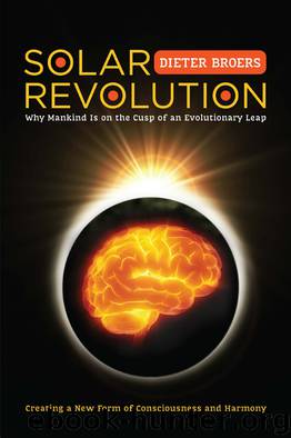 Solar Revolution by Dieter Broers