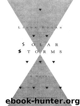 Solar Storms by Linda Hogan