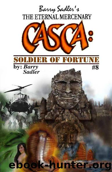 Soldier of Fortune by Barry Sadler