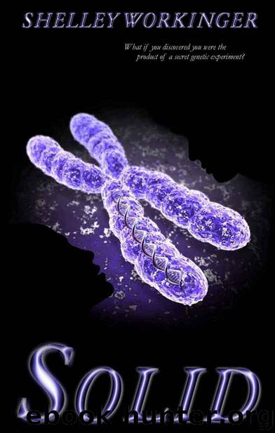 Solid by Shelley Workinger