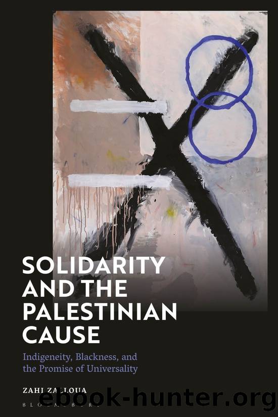 Solidarity and the Palestinian Cause by Zahi Zalloua;