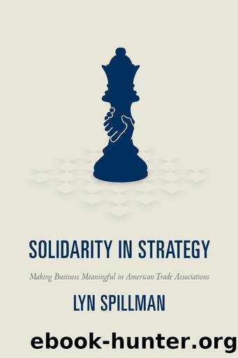 Solidarity in Strategy by Lyn Spillman