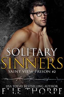 Solitary Sinners (Saint View Prison Book 2) by Elle Thorpe