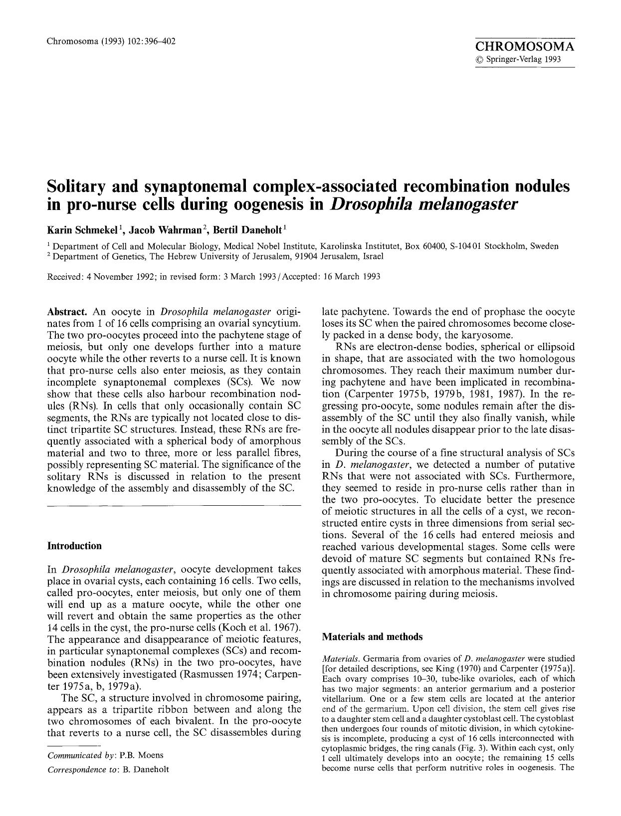 Solitary and synaptonemal complex-associated recombination nodules in pro-nurse cells during oogenesis in <Emphasis Type="Italic">Drosophila melanogaster<Emphasis> by Unknown