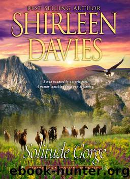 Solitude Gorge by Shirleen Davies