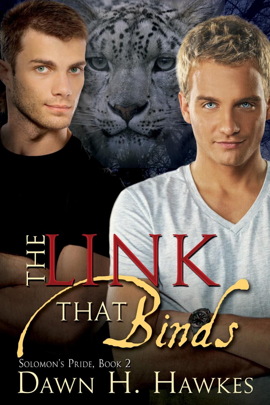 Solomon's Pride 2: The Link That Binds by Dawn H. Hawkes