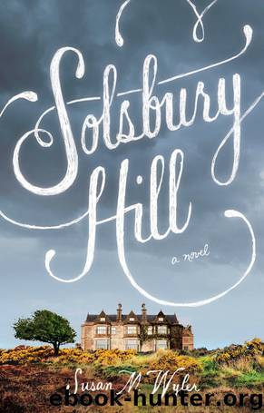 Solsbury Hill A Novel by Susan M. Wyler