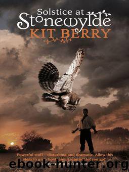 Solstice at Stonewylde by Kit Berry