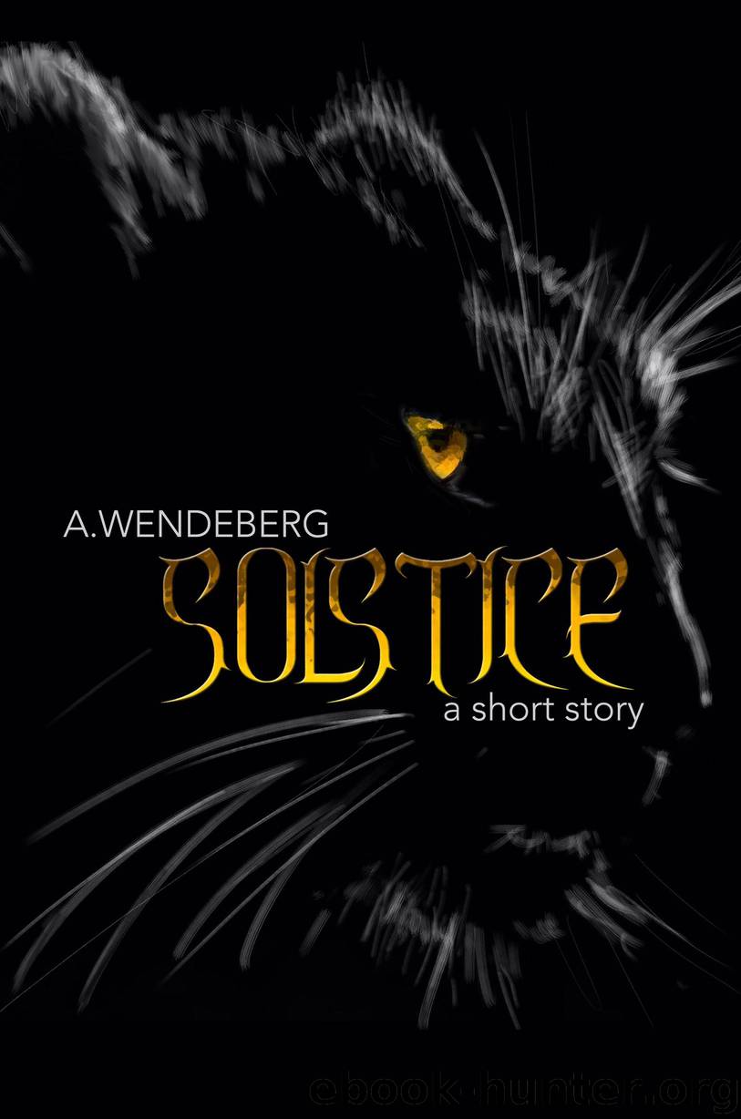 Solstice: A Short Story by Wendeberg A