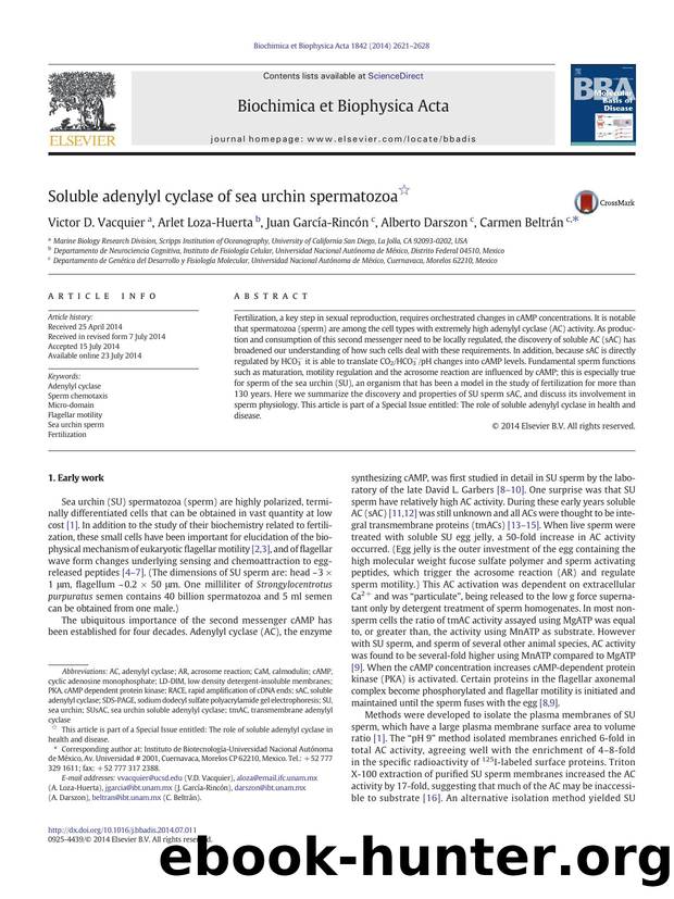 Soluble adenylyl cyclase of sea urchin spermatozoa by Victor D. Vacquier & Arlet Loza-Huerta & Juan García-Rincón & Alberto Darszon & Carmen Beltrán