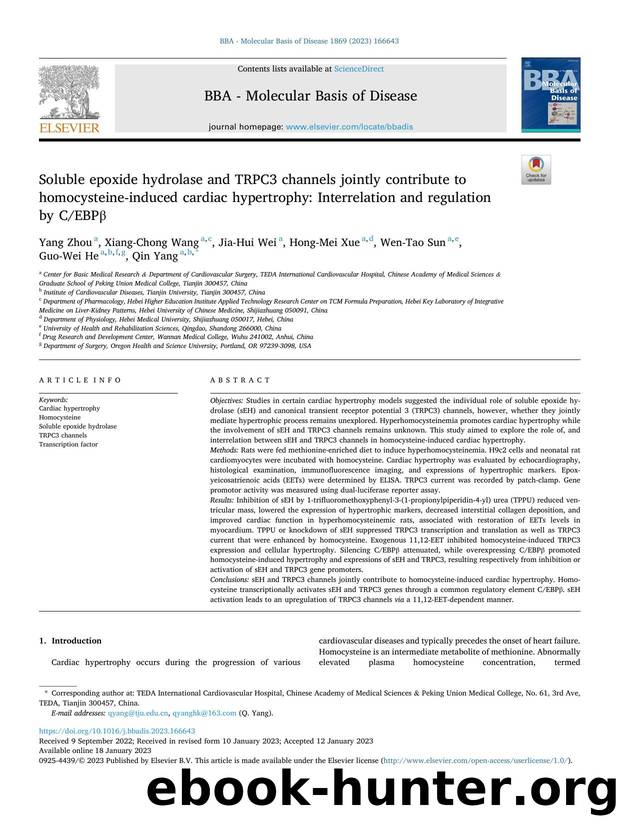 Soluble epoxide hydrolase and TRPC3 channels jointly contribute to homocysteine-induced cardiac hypertrophy: Interrelation and regulation by CEBPÎ² by Yang Zhou & Xiang-Chong Wang & Jia-Hui Wei & Hong-Mei Xue & Wen-Tao Sun & Guo-Wei He & Qin Yang