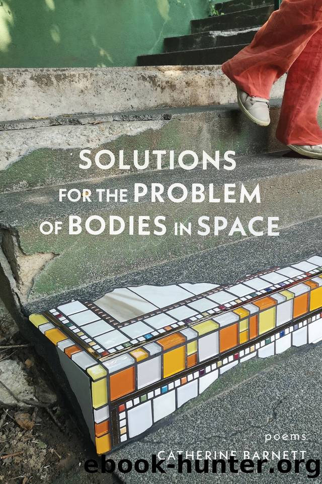 Solutions for the Problem of Bodies in Space: Poems by Catherine Barnett