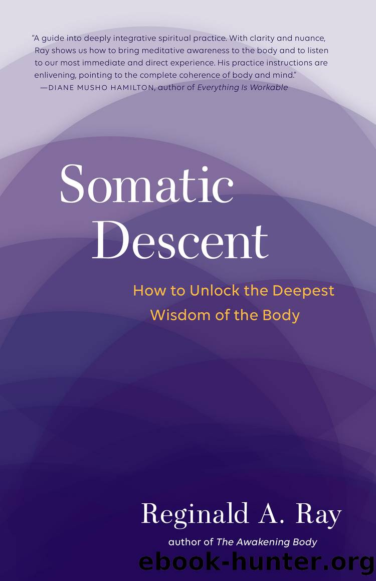 Somatic Descent by Reginald A. Ray