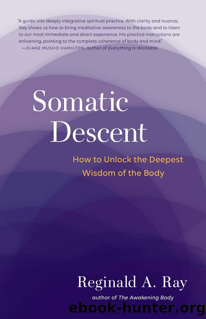 Somatic Descent: How to Unlock the Deepest Wisdom of the Body by Reginald Ray