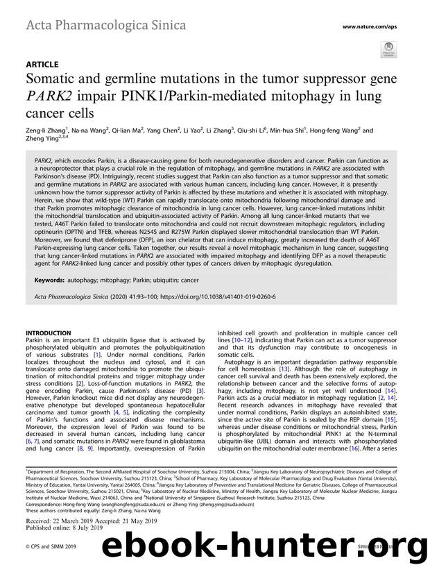 Somatic and germline mutations in the tumor suppressor gene PARK2 impair PINK1Parkin-mediated mitophagy in lung cancer cells by unknow