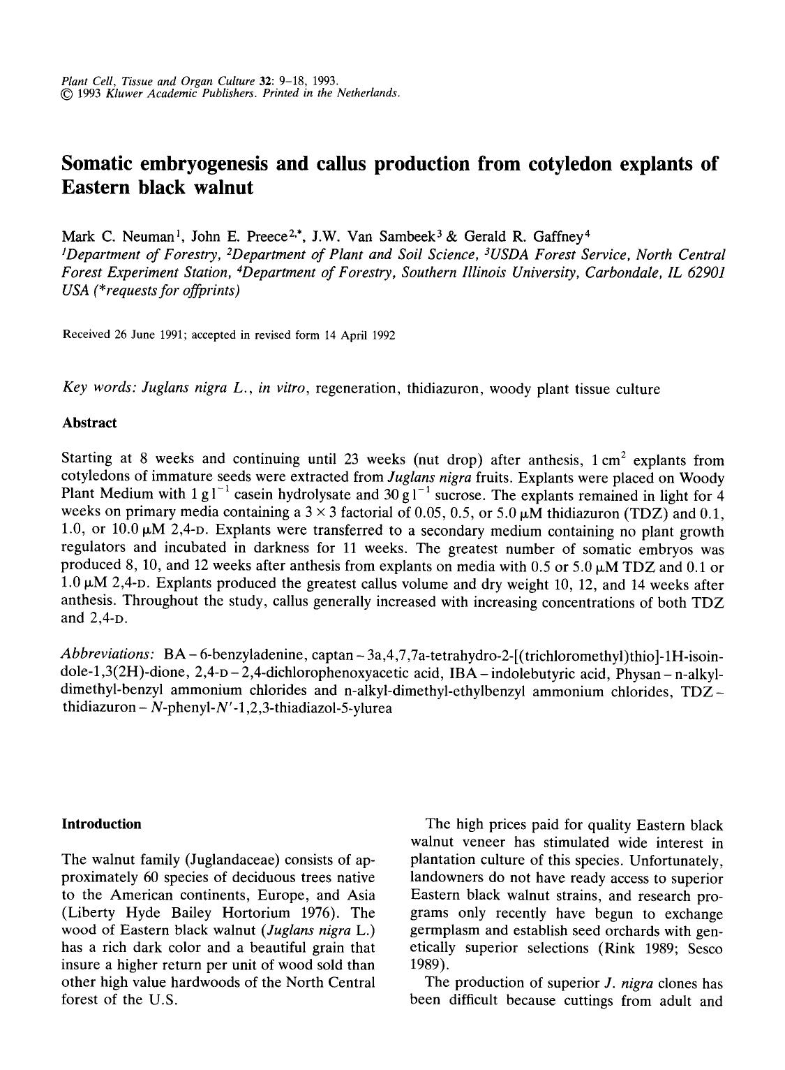 Somatic embryogenesis and callus production from cotyledon explants of Eastern black walnut by Unknown