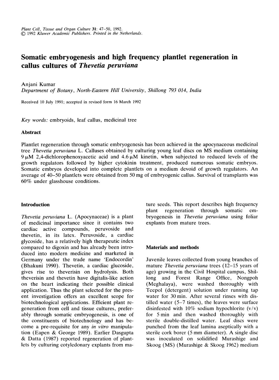 Somatic embryogenesis and high frequency plantlet regeneration in callus cultures of <Emphasis Type="Italic">Thevetia peruviana <Emphasis> by Unknown