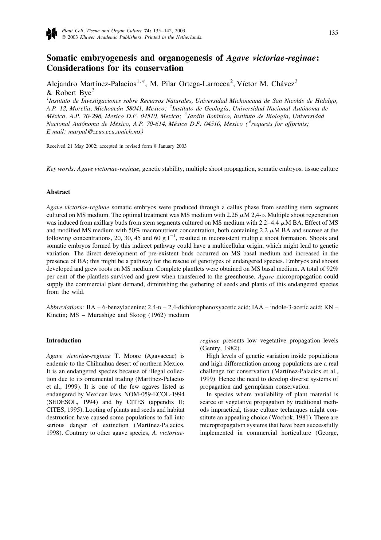 Somatic embryogenesis and organogenesis of <Emphasis Type="Italic">Agave victoriae-reginae<Emphasis>: Considerations for its conservation by Unknown