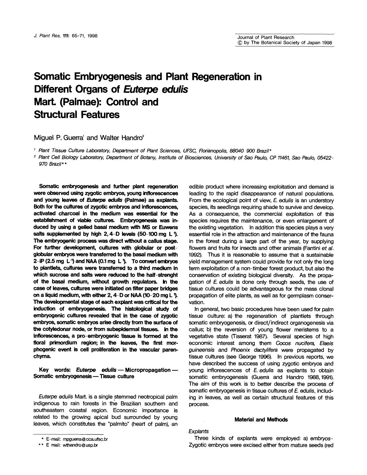 Somatic embryogenesis and plant regeneration in different organs of <Emphasis Type="Italic">Euterpe edulis <Emphasis> mart. (Palmae): Control and structural features by Unknown