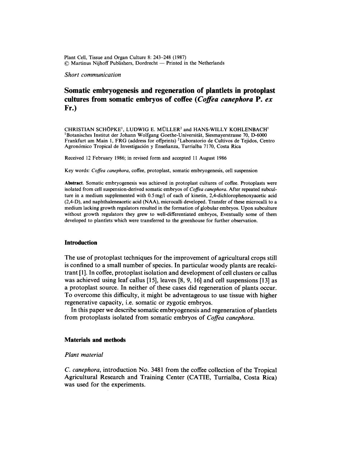 Somatic embryogenesis and regeneration of plantlets in protoplast cultures from somatic embryos of coffee (<Emphasis Type="Italic">Coffea canephora<Emphasis> P. <Emphasis Type="Ita by Unknown