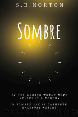 Sombre by S.B. Norton