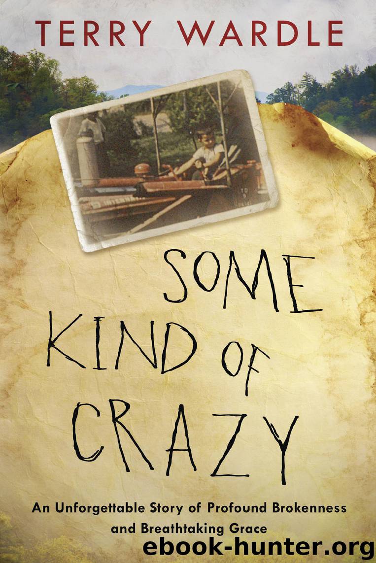 Some Kind of Crazy by Terry Wardle