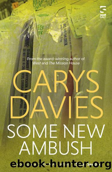 Some New Ambush by Carys Davies