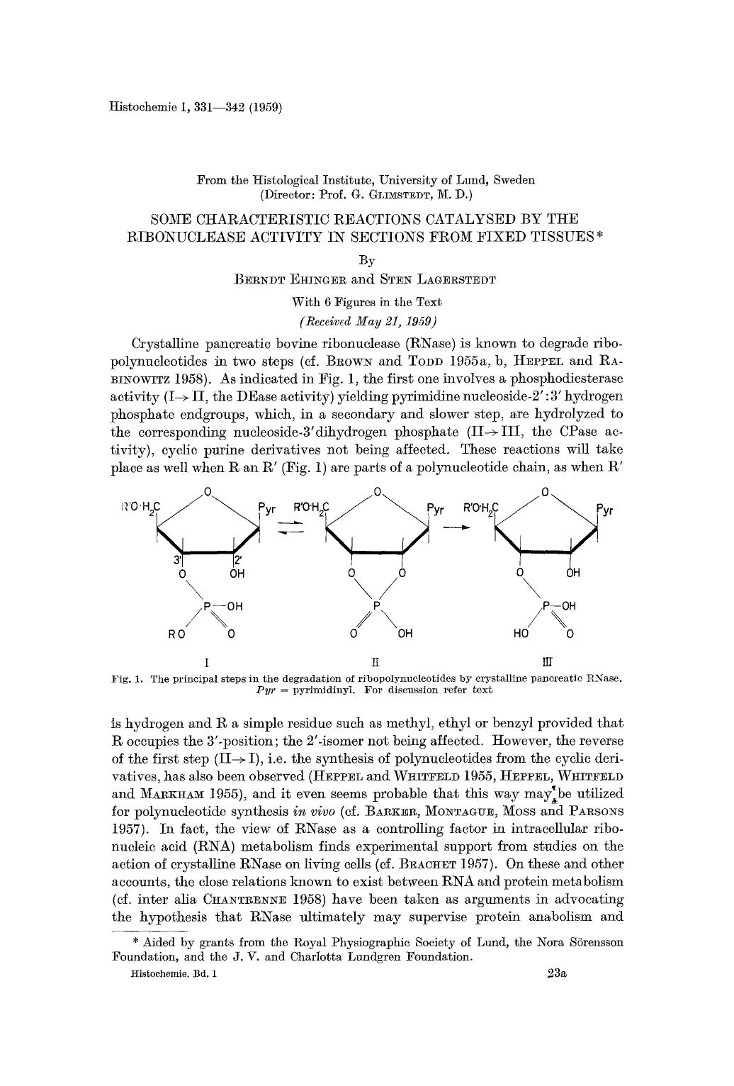 Some characteristic reactions catalysed by the ribonuclease activity in sections from fixed tissues by Unknown
