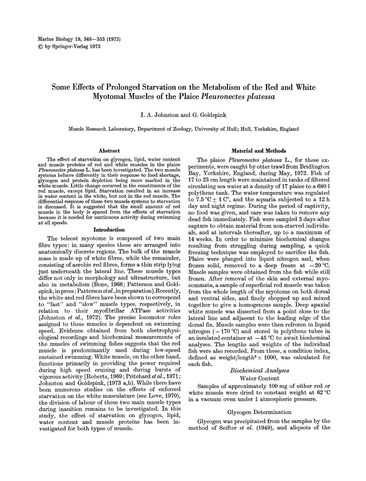 Some effects of prolonged starvation on the metabolism of the red and white myotomal muscles of the plaice <Emphasis Type="Italic">Pleuronectes platessa<Emphasis> by Unknown