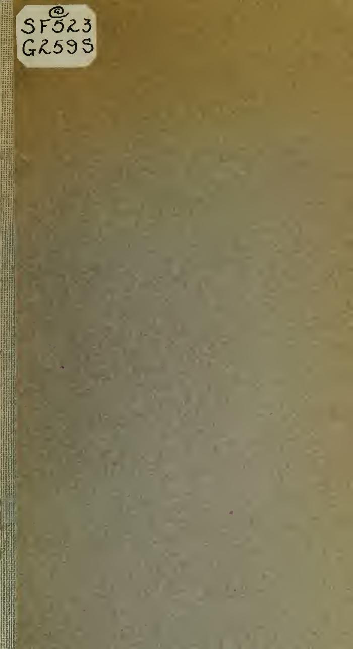 Some of the essentials of beekeeping by Gates Burton Noble