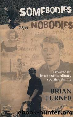 Somebodies and Nobodies by Brian Turner