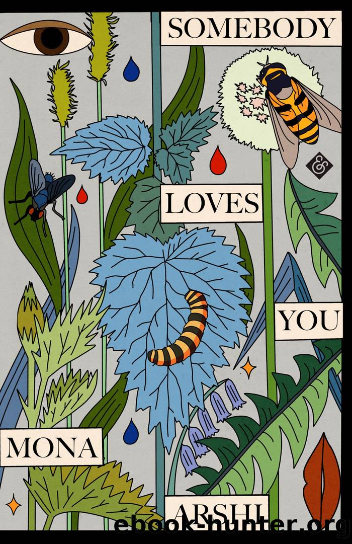 Somebody Loves You by Mona Arshi