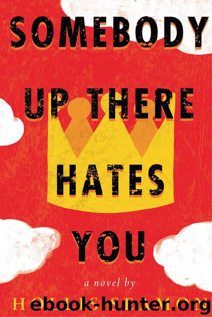 Somebody Up There Hates You by Hollis Seamon