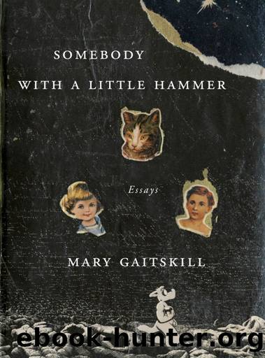 Somebody With a Little Hammer: Essays by Mary Gaitskill