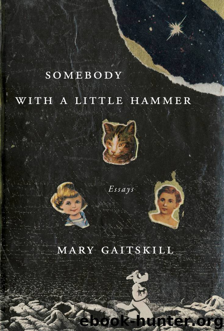 Somebody with a Little Hammer by Mary Gaitskill