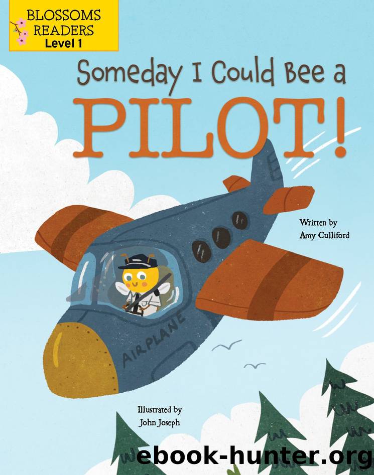 Someday I Could Bee a Pilot! by Amy Culliford