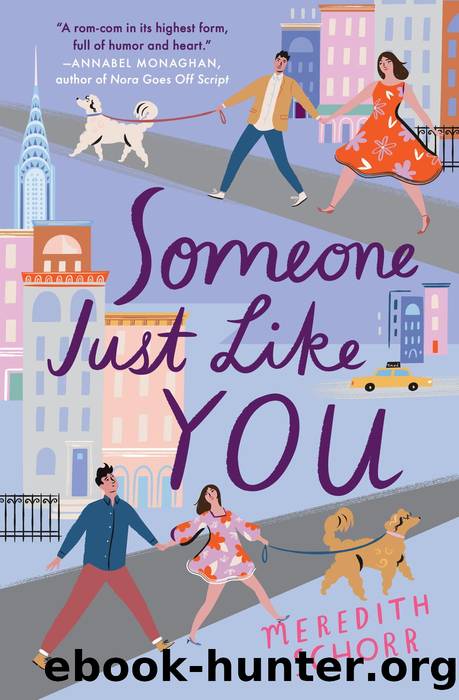 Someone Just Like You by Meredith Schorr