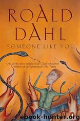 Someone Like You - Roald Dahl by Roald Dahl