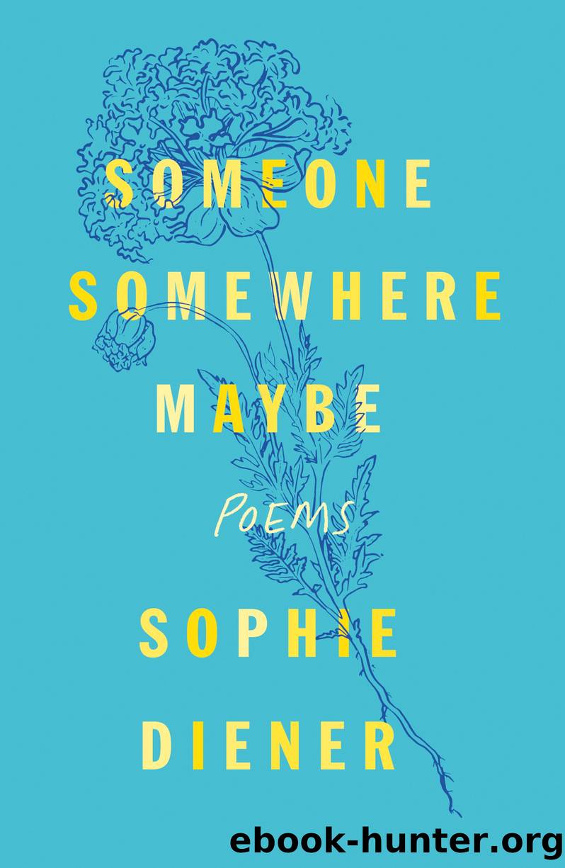 Someone Somewhere Maybe by Sophie Diener